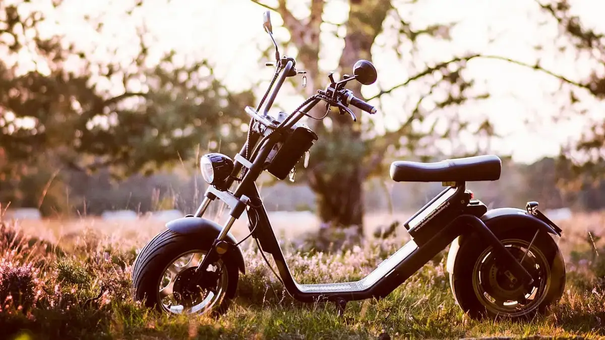 E-Chopper