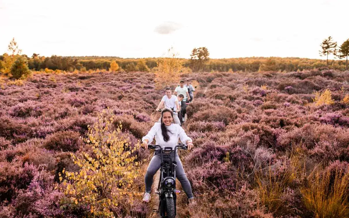 De heide in bloei! Waar geniet jij van de prachtige natuur?